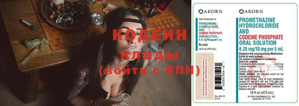 шишки Заволжье