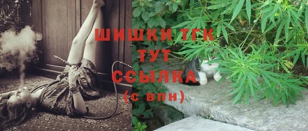 шишки Заволжье