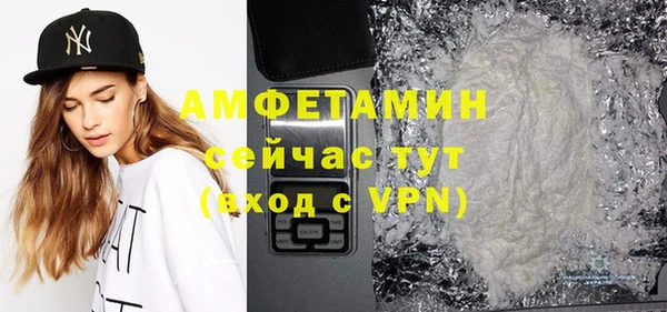 шишки Заволжье