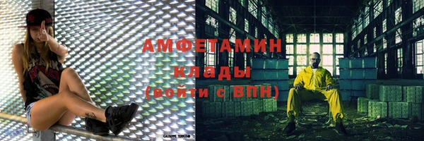 шишки Заволжье