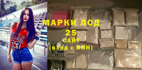 шишки Заволжье