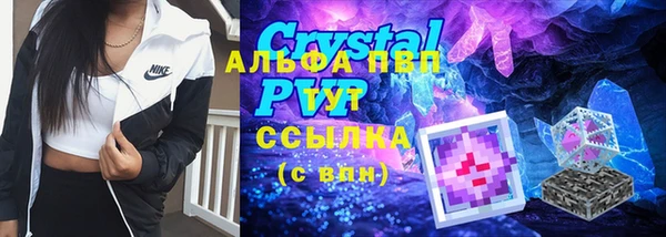 шишки Заволжье