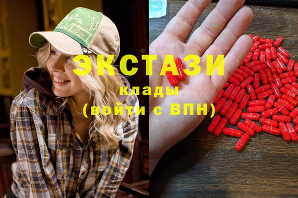 шишки Заволжье