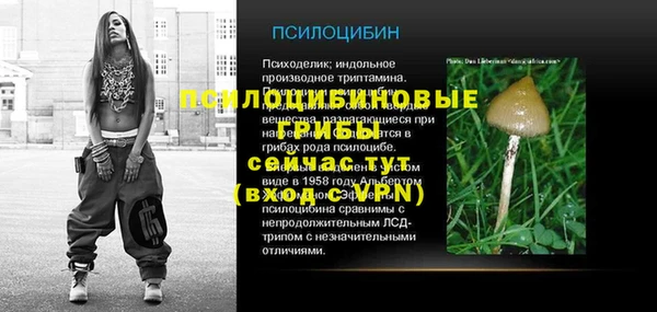 шишки Заволжье