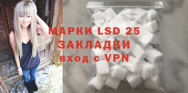 шишки Заволжье