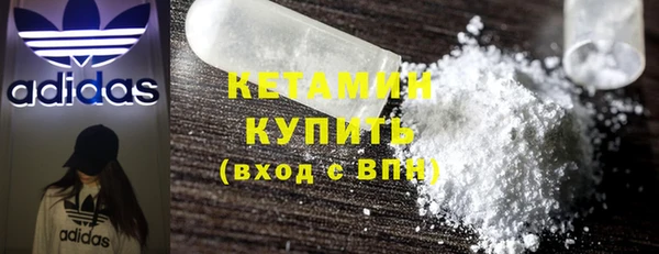 шишки Заволжье