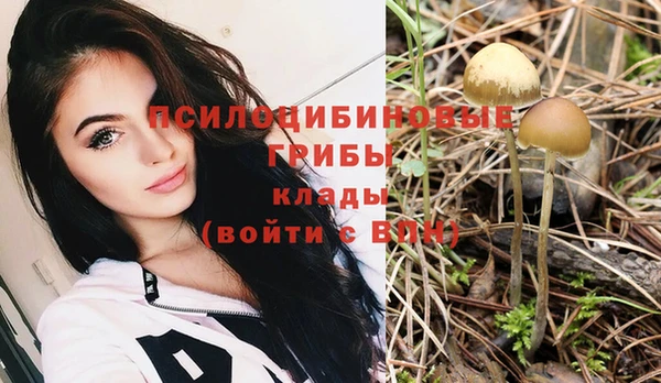 шишки Заволжье